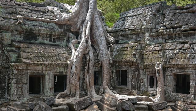 Das spektakulär von Baumwurzeln umschlungene Tempelgemäuer ist inzwischen ein Wahrzeichen Kambodschas. Derartige "Kunstwerke" von mächtigem Wurzelwerk und Tempeln kann man ausserhalb Kambodschas nicht finden.